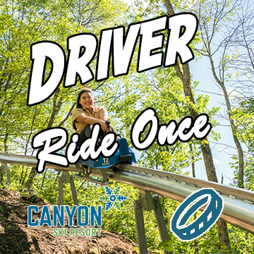 Driver (ages 8+)