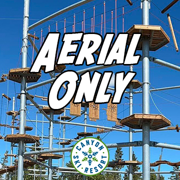 Aerial Course ONLY Ages 8+